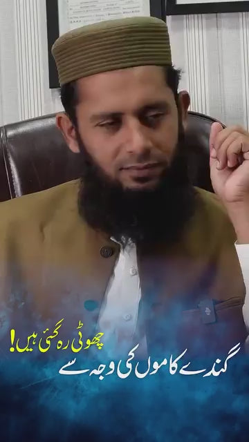 Donkey Oil | Recommended By Hakeem Sarfraz